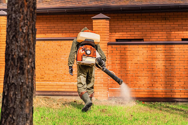 Bed Bug Clearance Verification and Documentation in Pemberton Heights